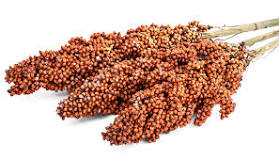 Agrigm Technologies Co. Ltd