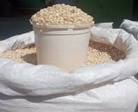 Maize