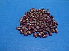 Class Beans Kenya Mavuno