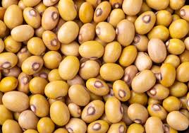Agrigm Technologies Co. Ltd